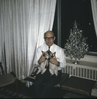 Telegdi Valentine B23 - Val Telegdi celebrates Christmas in Chicago with two Siamese cats and a tiny decorated tree.