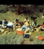 Lisa, Murray, and Margaret Gell-Mann with Manny Delbruck, Hans and Rose Bethe, Robert Bacher, Dorothy Walker, Max Delbruck, and Richard and Carl Feynman all enjoy a spring picnic with their dogs in the San Gabriel Mountains in California.